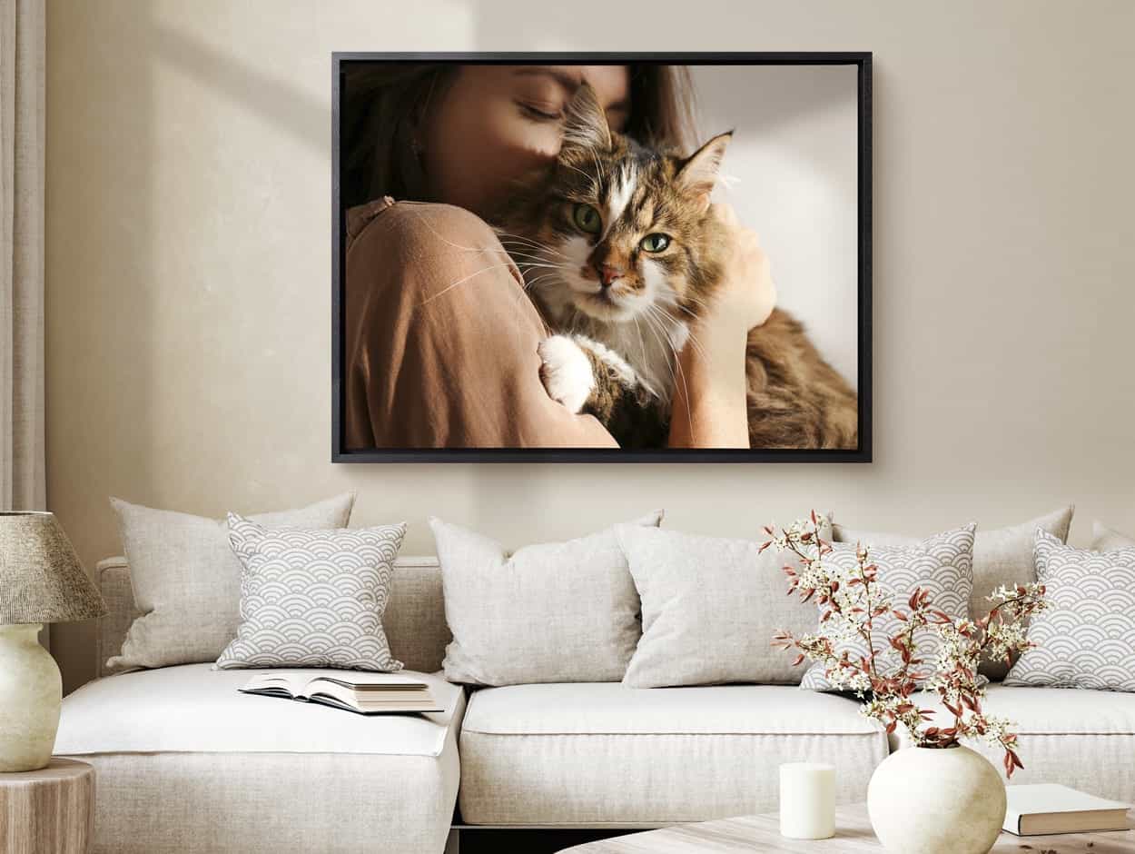 Image of a cat on canvas with floating frame